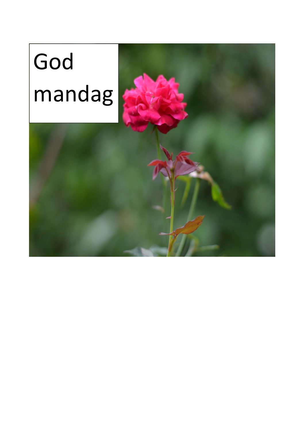 December-mandag i regn og blæst