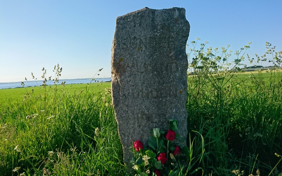 VIDEO: 100 året for Sønderjyllands genforening med Danmark