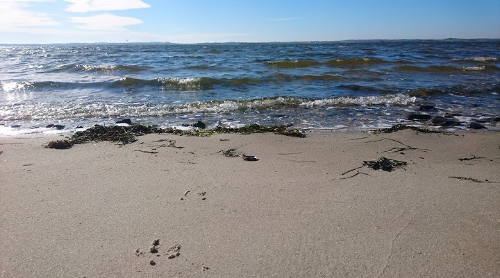 S på Mors debatterer Limfjorden