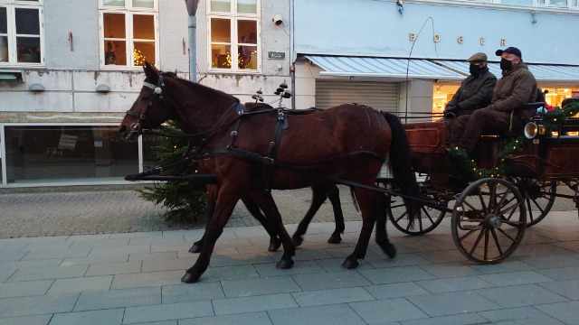 Projekt Levende bymidte