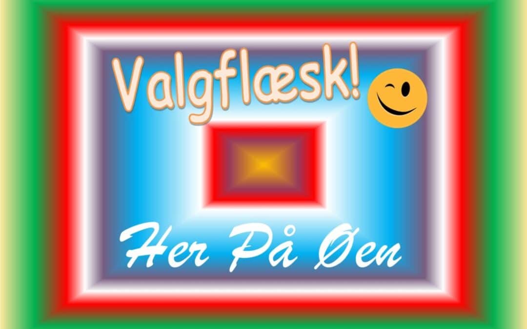 Valgflæsk 1 Her På Øen: Dét vidste du ikke om kandidaterne!