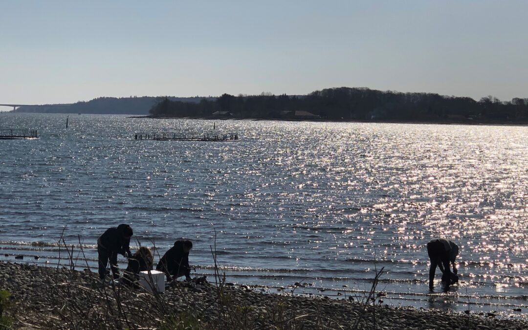 Millionbeløb til OPHAV Limfjord