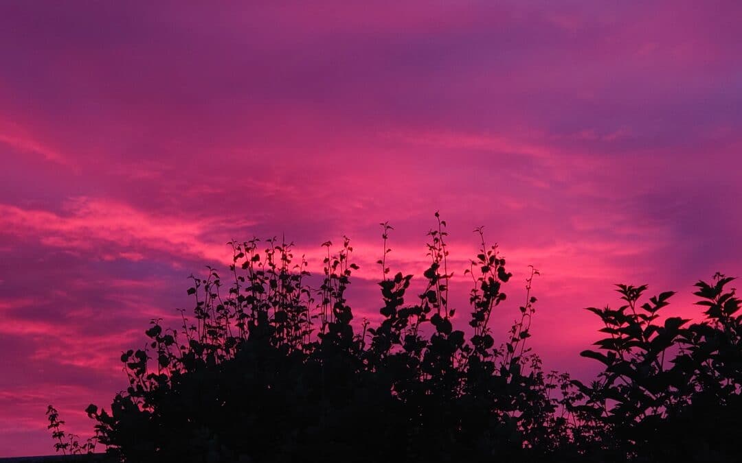 Farverig solnedgang før ny uge