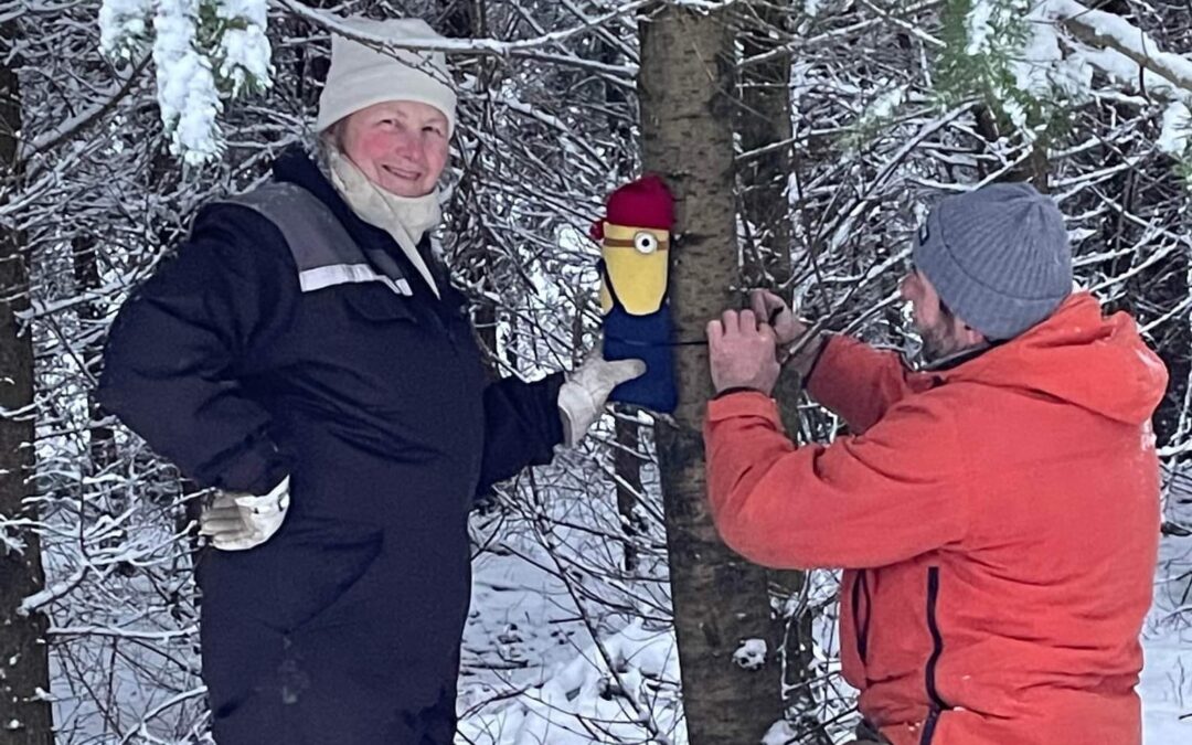 Nissesti i Legind Bjerge