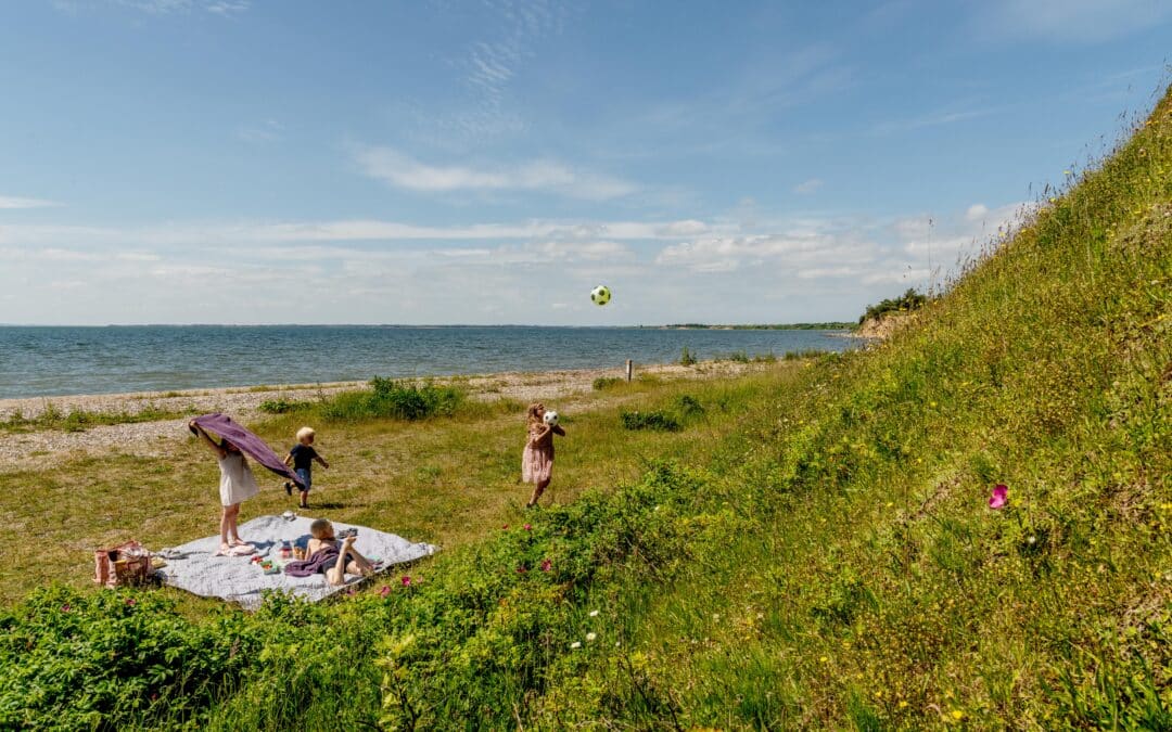 Fremgang i turismen her på øen