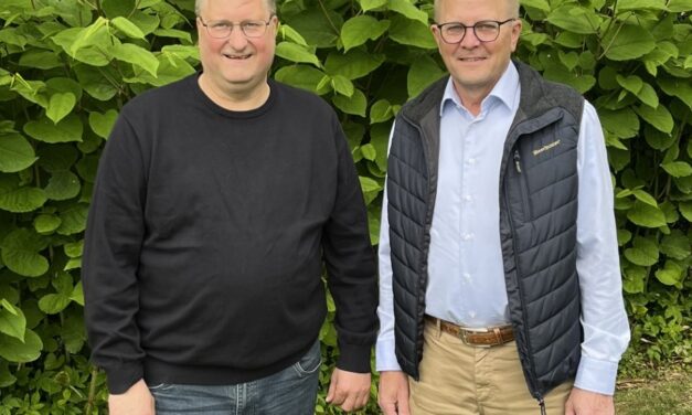 Sivert stiller op igen