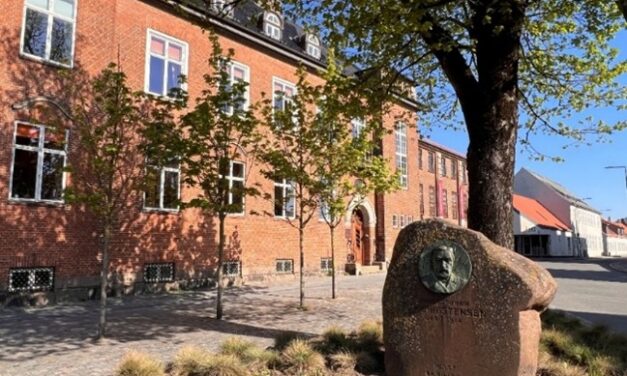 Erhvervsrådet får unge talenter til øen