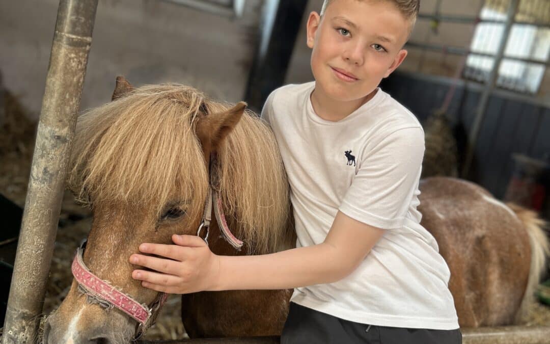 Vellykket sommerlejr på landbrugsskolen