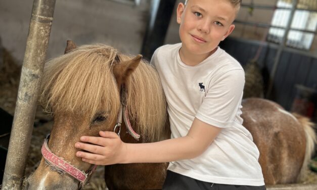 Vellykket sommerlejr på landbrugsskolen