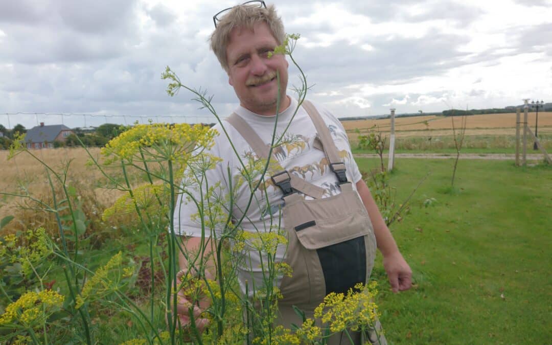 Læserbrev: Ældrepleje skal tales op