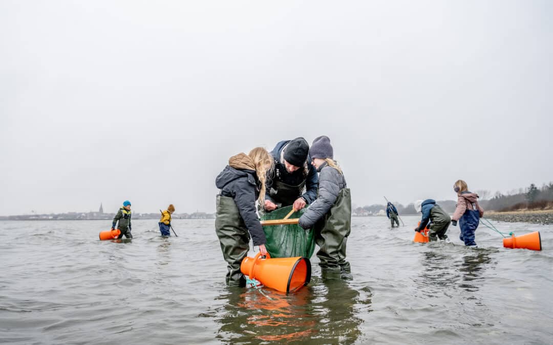 Strandskoledag i Ejerslev